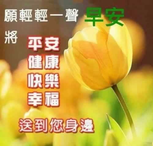 网上平台维护提不了款 化解方法(图)
