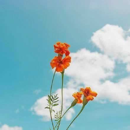 在黑网站账号异常该 化解对策(图)