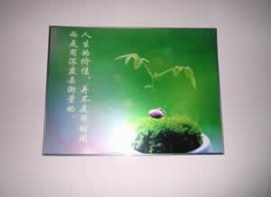 网络平台登录异常教你如何处理(图)