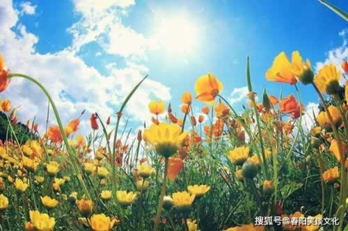 黑网第三通道维护多久 处理对策(图)